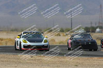 media/Mar-29-2025-Pro Autosports (Sat) [[89b1c017ad]]/5-Blue-White Group/Qualifying Race/